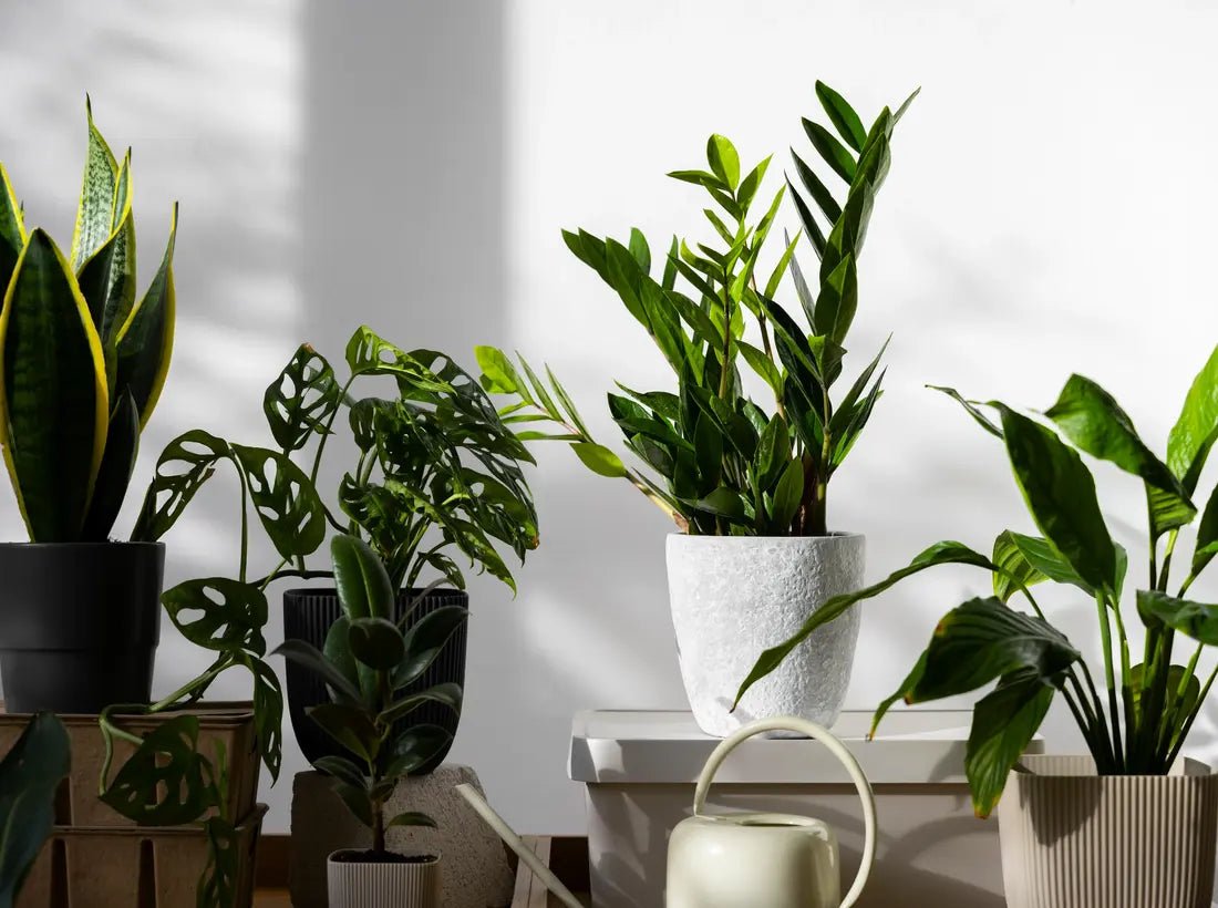 Various artificial potted plants white wall background