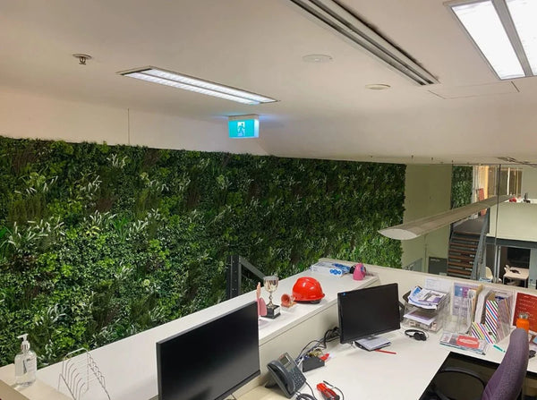Artificial Green Walls for Schools: What Works, What Doesn't, and Where to Put Them