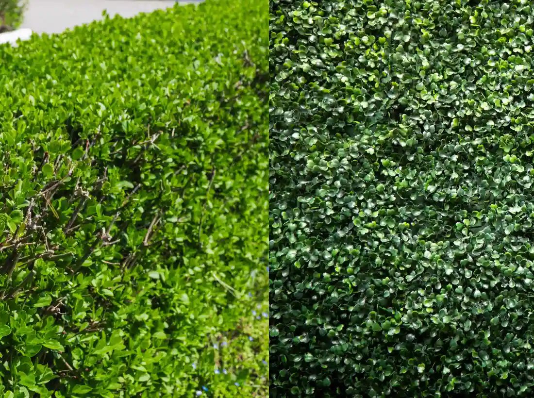 artificial hedges vs real hedges