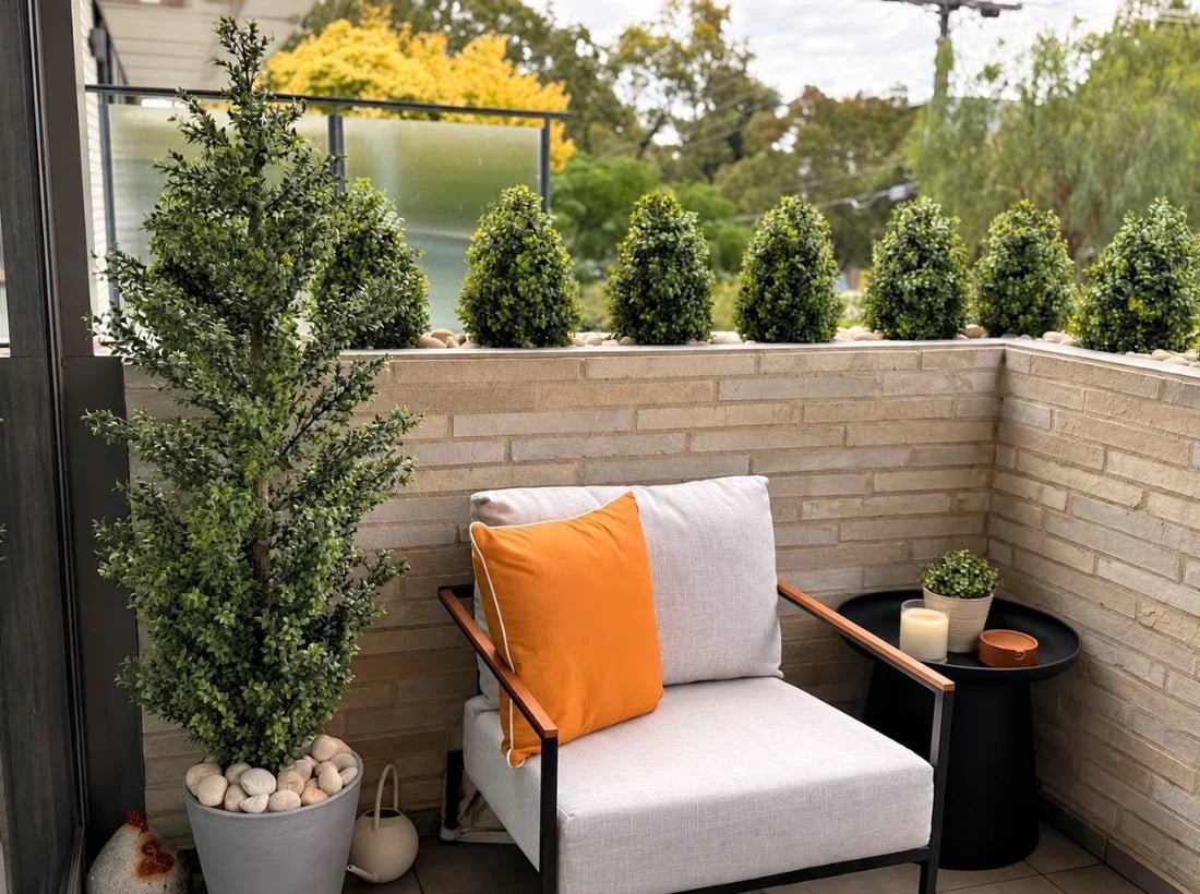 How a Bare Balcony Planter Became a Structured Botanical Feature - Designer Plants USA