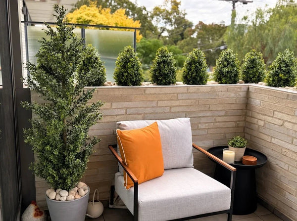 How a Bare Balcony Planter Became a Structured Botanical Feature