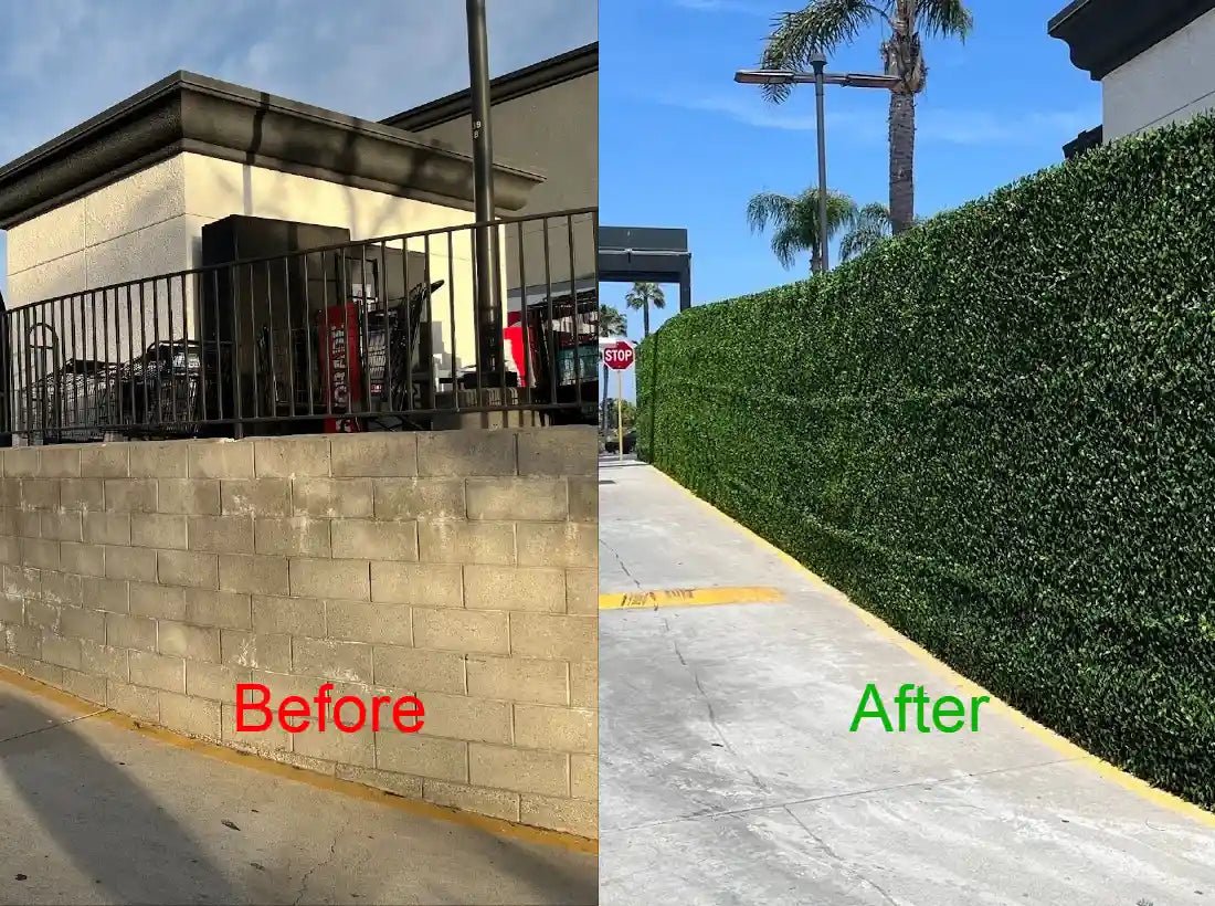 Before and after installing artificial hedge panels to a privacy fence outside store for client