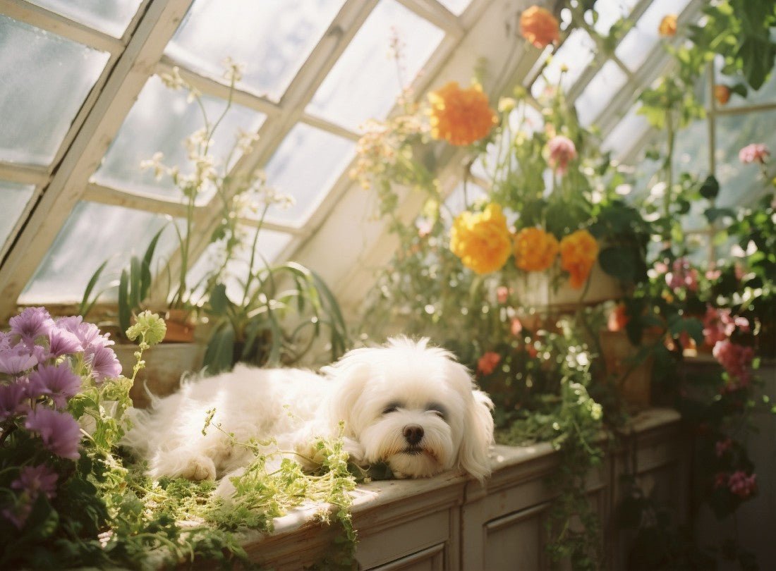 spring hanging basket plants 24