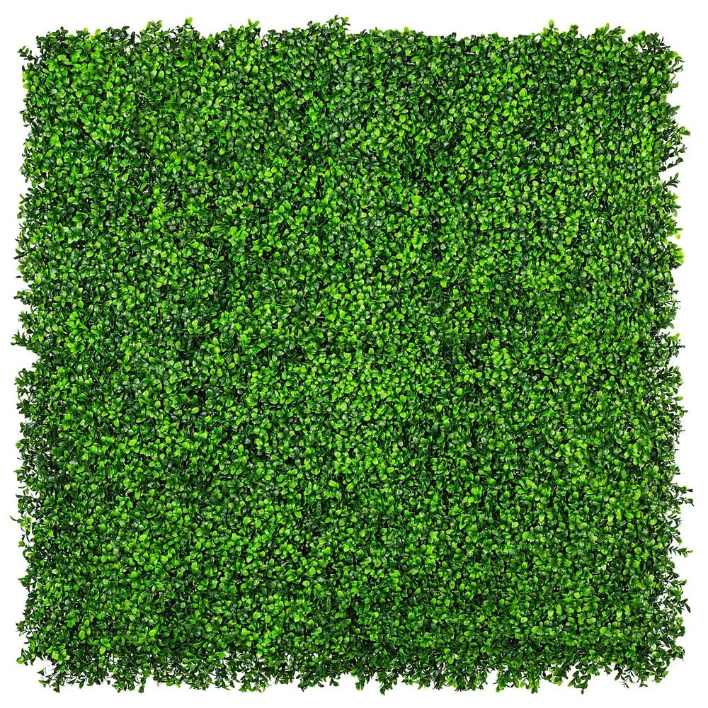Sample Panel – Bright Boxwood Green Wall (Small Sample) by Designer Plants USA