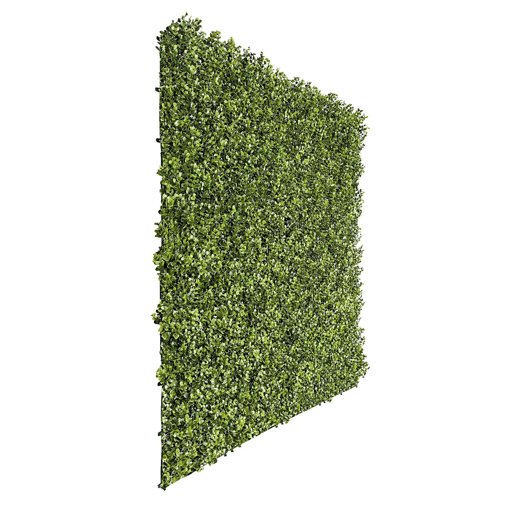 Sample Panel – Natural Boxwood Green Wall (Small Sample)