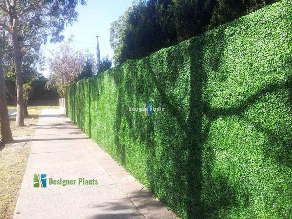 Sample Panel – Dark Boxwood Green Wall (Small Sample) — Sample from Designer Plants USA — view 15 of 21
