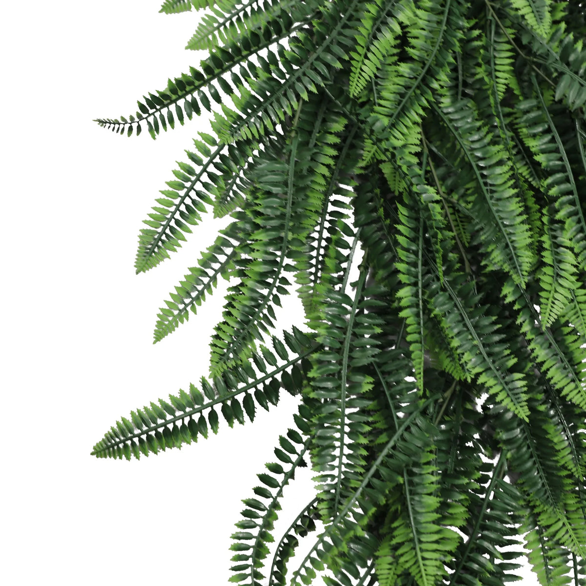 Artificial Hanging Plants & Bushes: Dense Boston Fern Garland Artificial Hanging Bush 10.6×33in – NFPA701 Fire Rated – UV…
