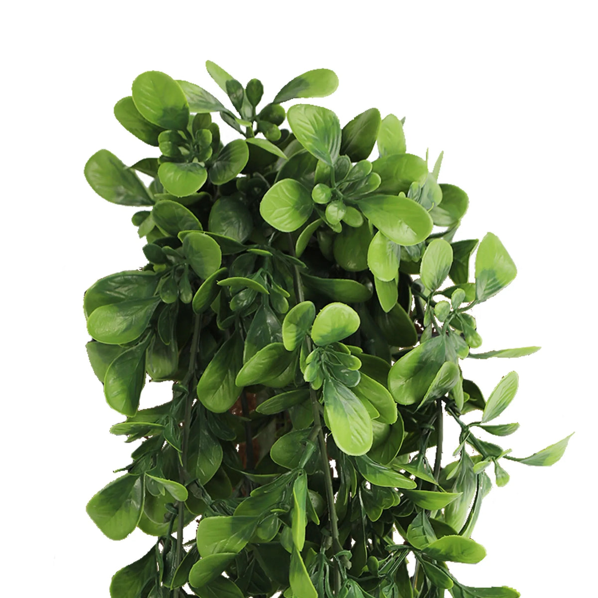 Creeping Fig Garland Artificial Hanging Bush 7.1×30in – NFPA701 Fire Rated – UV Resistant, Fire Resistant Artificial Hanging…