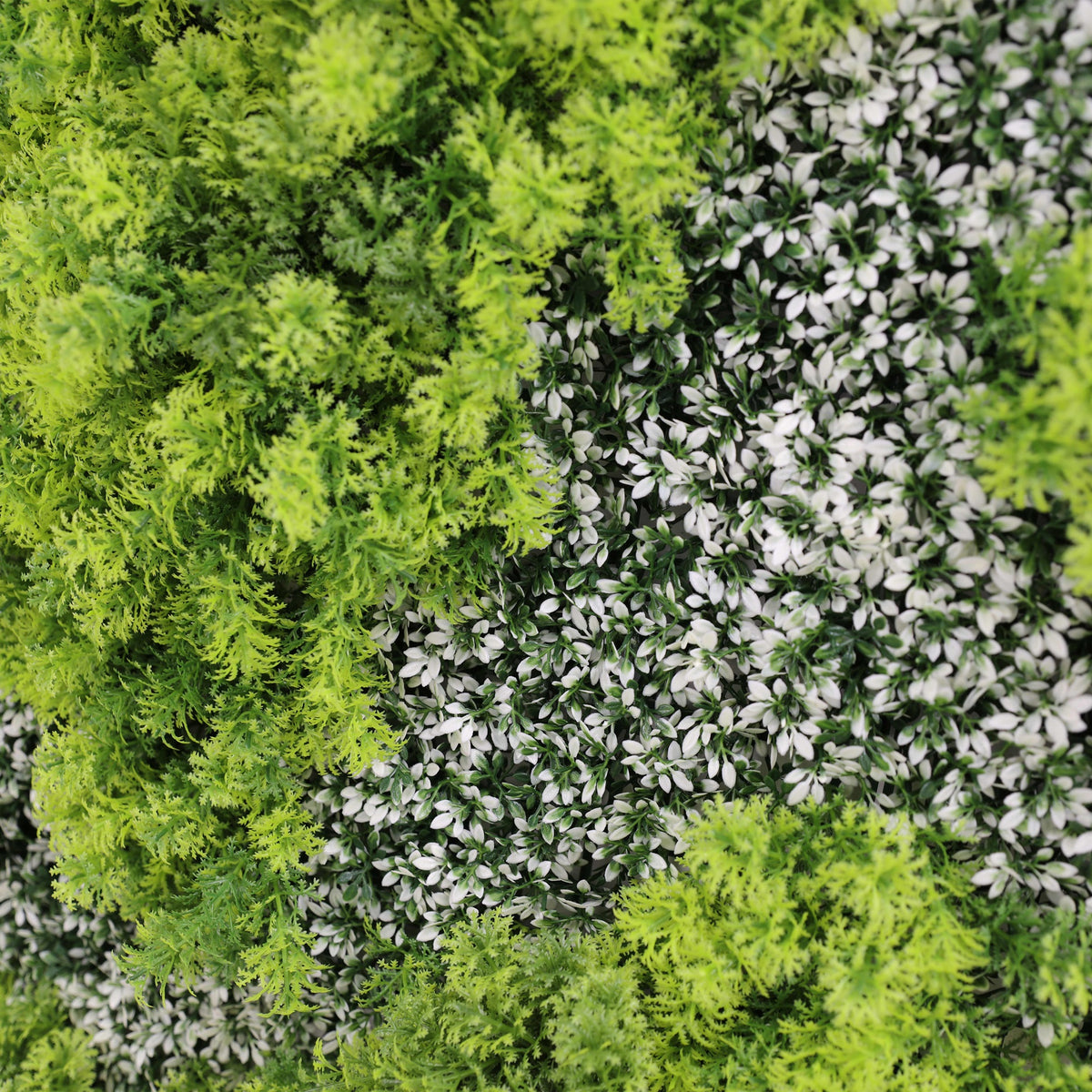 Natural Green and White Moss Artificial Vertical Garden Green Wall Panel 40×40in – UV Resistant – Commercial Grade (Designer…