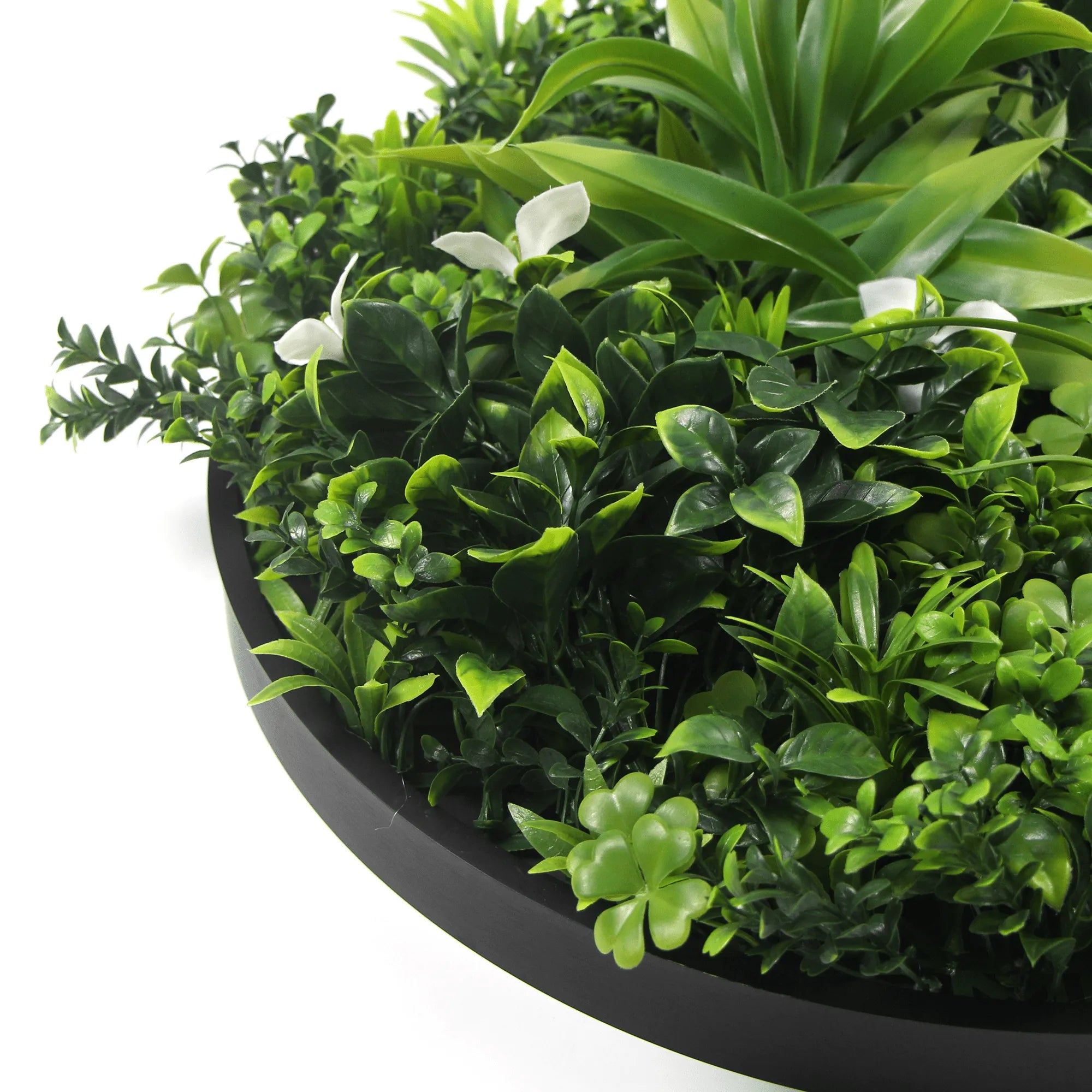 Artificial Green Wall Disc 30in – Black Frame – UV Resistant – Commercial Grade