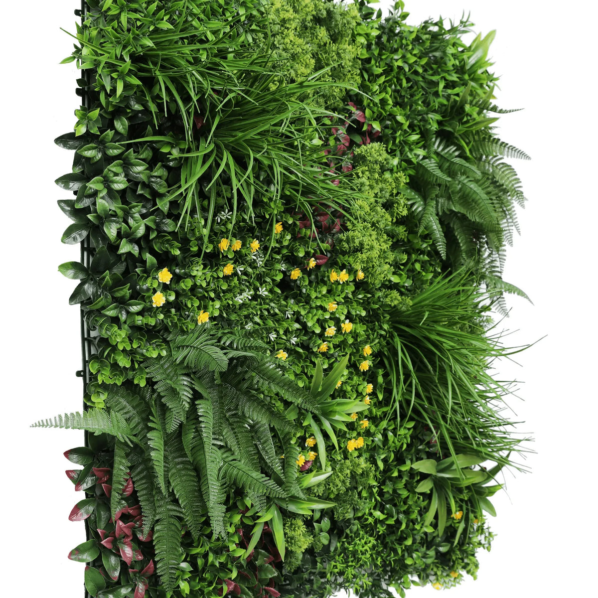 Country Fern Artificial Vertical Garden Green Wall Panel 40×40in 11 SQ FT – UV Resistant – Commercial Grade (Designer Plants…
