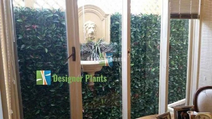 Photinia Artificial Vertical Garden Green Wall Panel 40×40in 11 SQ FT – UV Resistant – Commercial Grade — view 8 of 10
