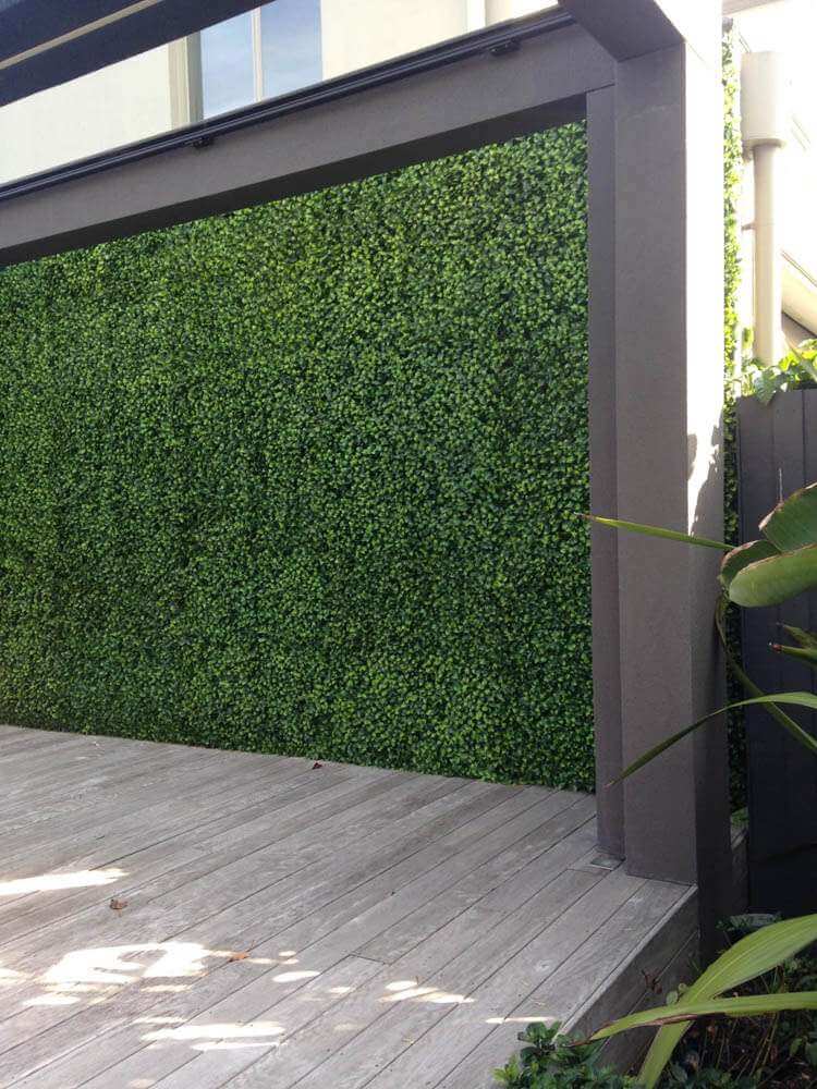 Sample: Sample Panel – Jasmine Green Wall (Small Sample) by Designer Plants USA