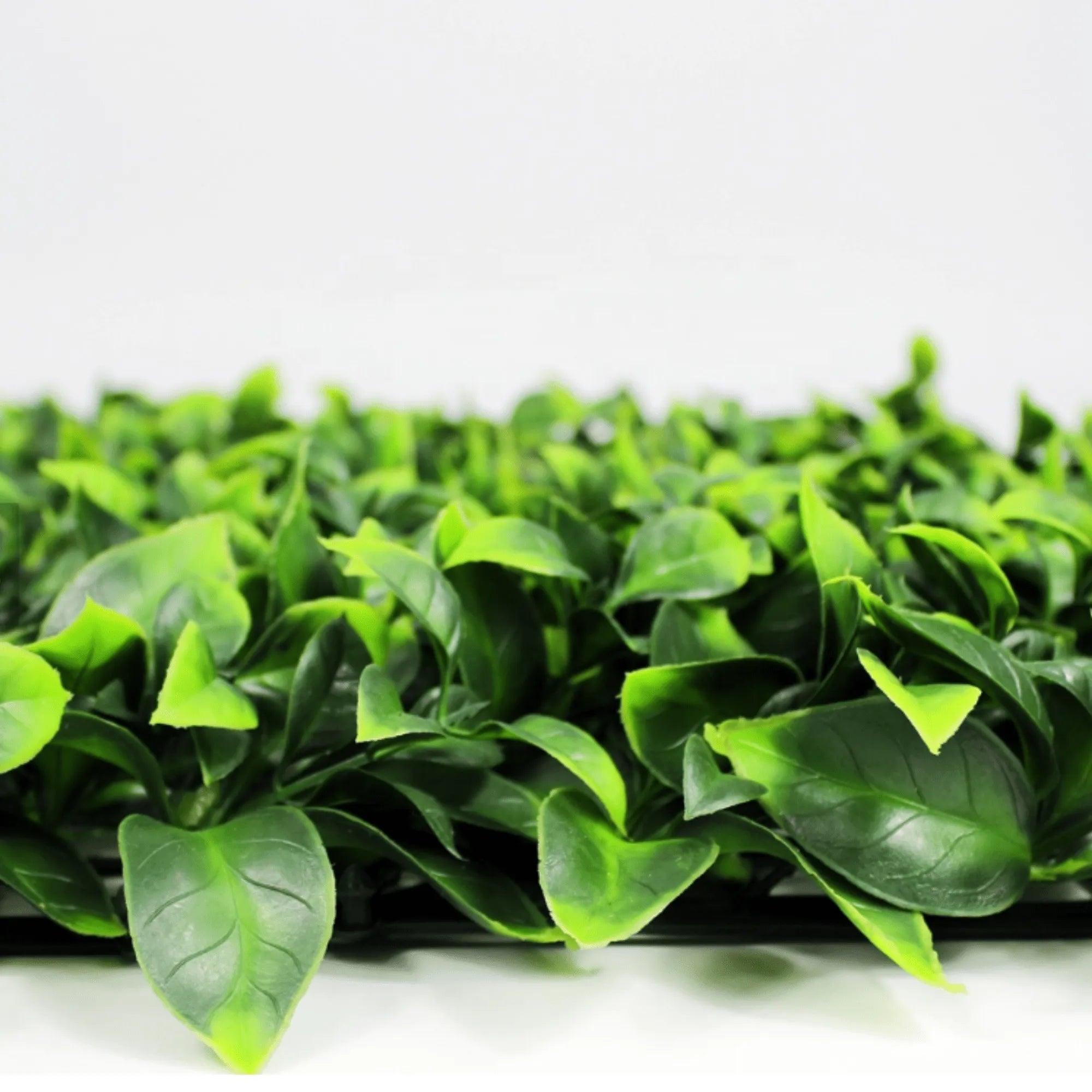 Jasmine Artificial Vertical Garden Green Wall Panel 40×40in 11 SQ FT – UV Resistant – Commercial Grade