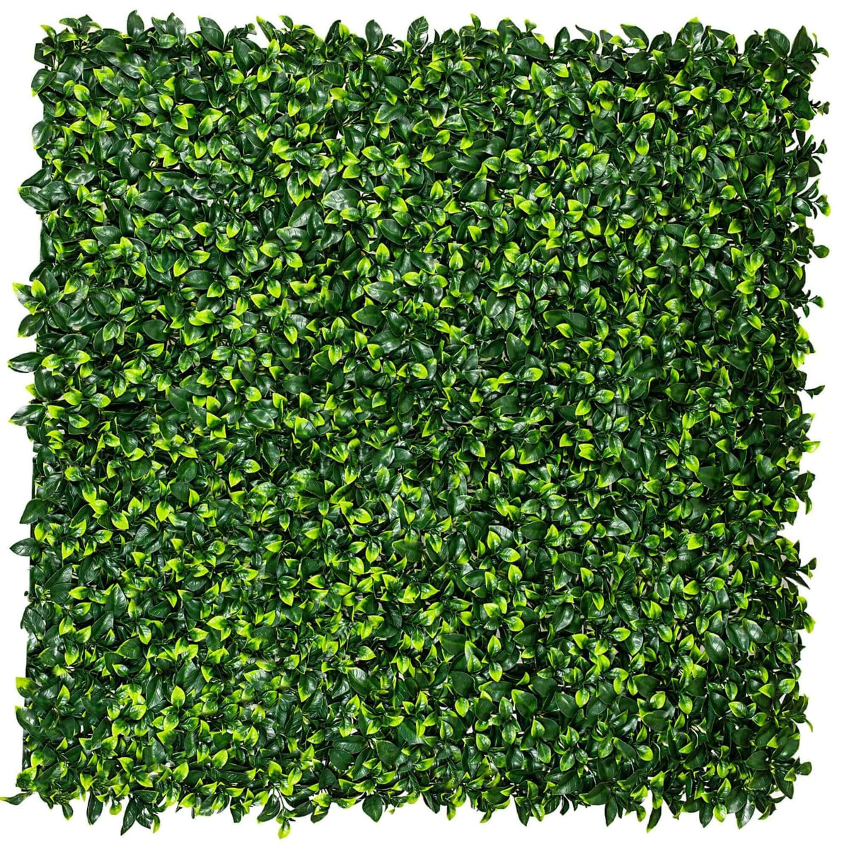 Sample Panel – Jasmine Green Wall (Small Sample) — view 8 of 18