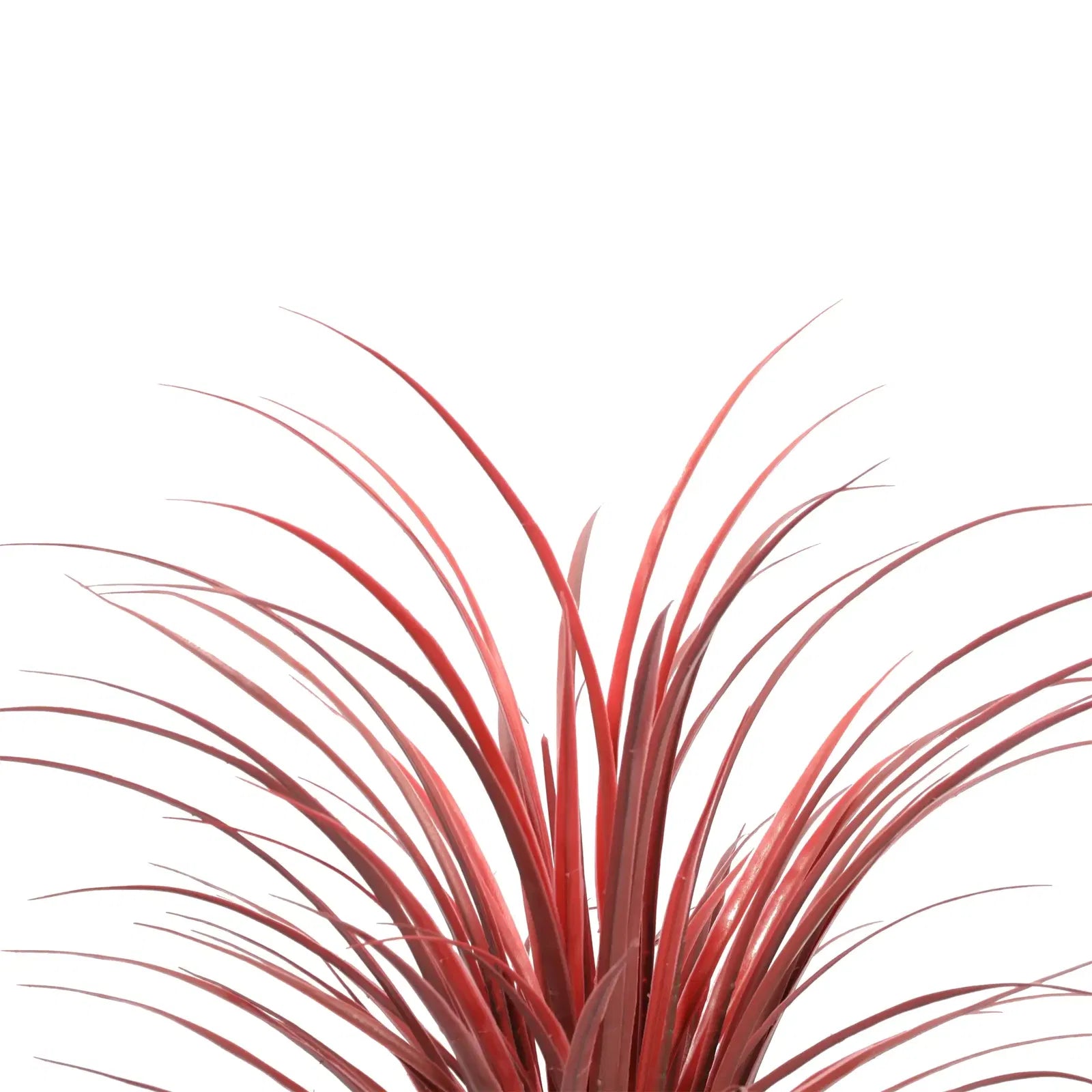 Set of 5 Potted Artificial Long Grass Burgundy (Yucca Grass) 30" UV Resistant (Clearance Price)