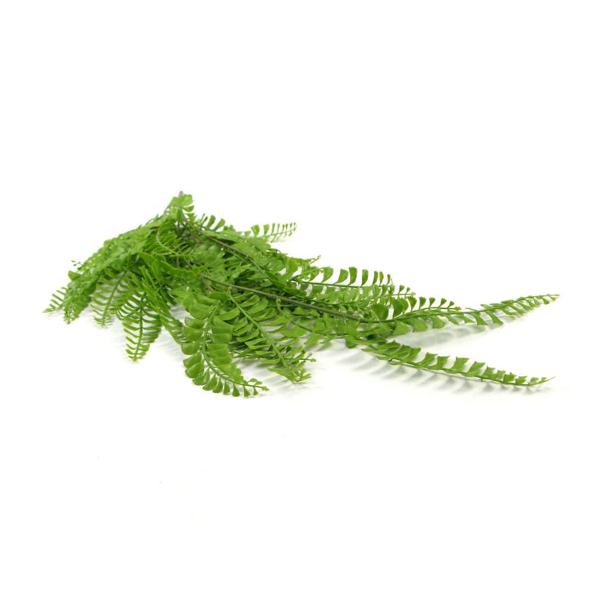 Dark Green Button Fern Artificial Hanging Plant 31in – UV Resistant — featuring UV Resistant