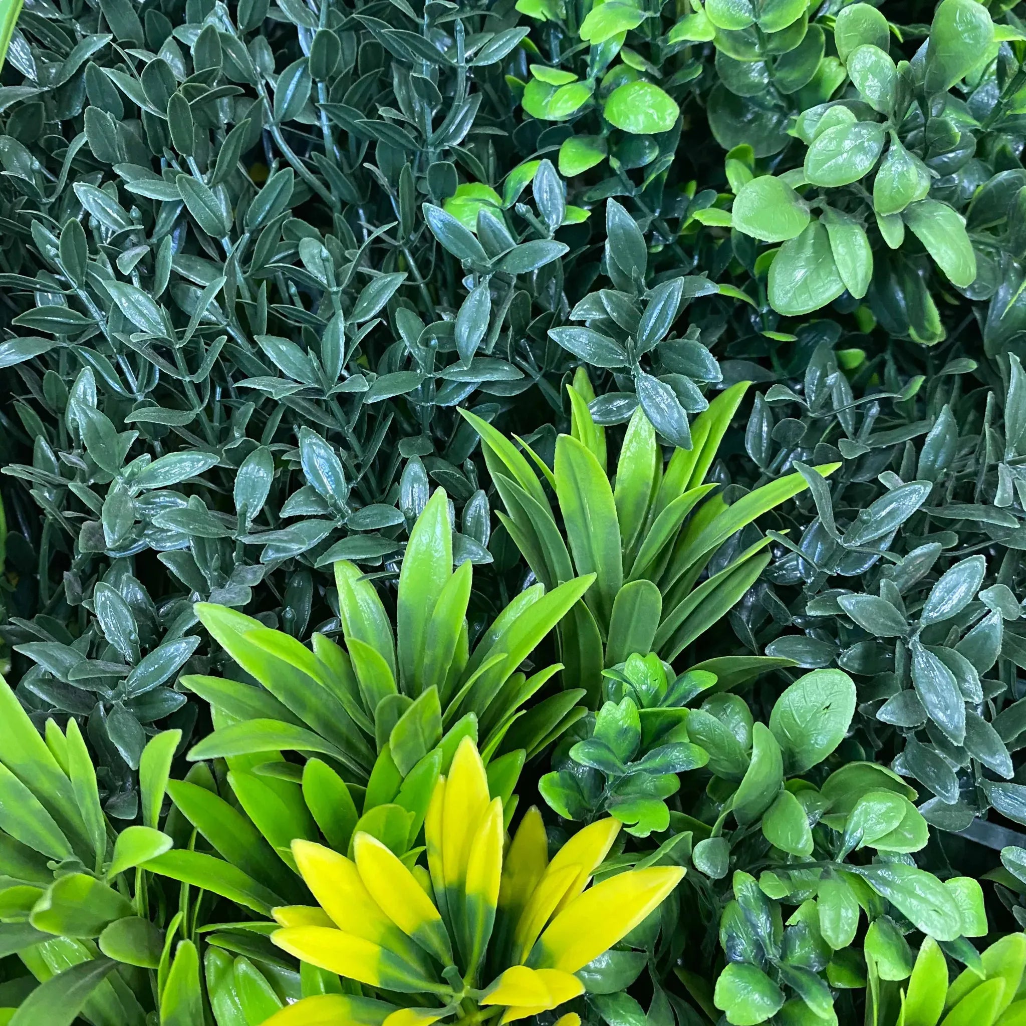 Evergreen Triptych Vertical Garden / Living Wall Set 3 Pieces (33SQFT Set) UV Resistant