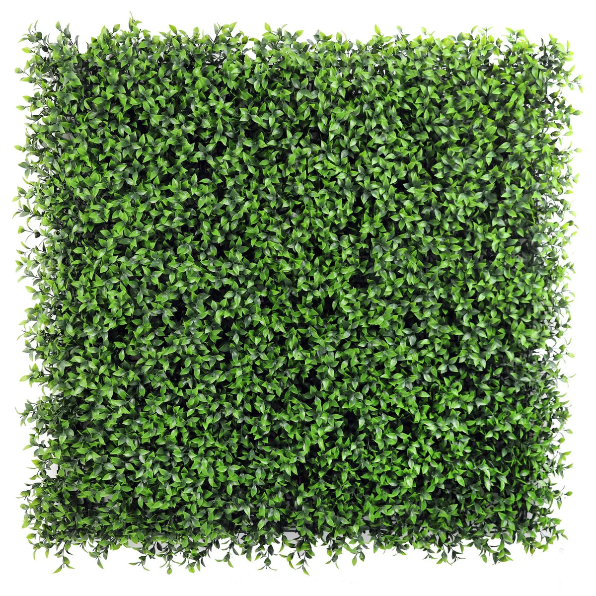 Artificial Ruscus Vertical Garden Green Wall Panel 40×40in 11 SQ FT – UV Resistant – Commercial Grade - Designer Plants USA