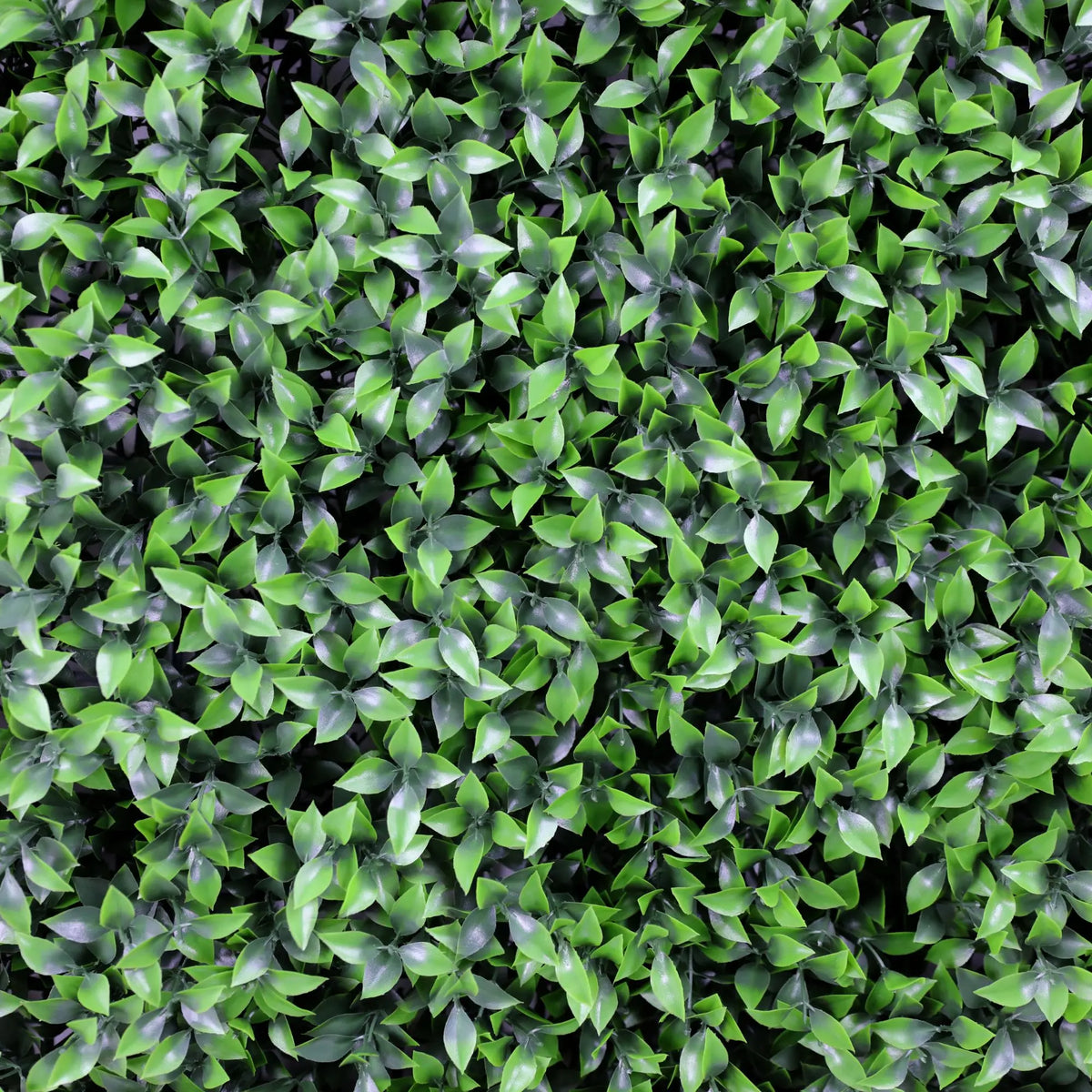 Artificial Ruscus Vertical Garden Green Wall Panel 40×40in 11 SQ FT – UV Resistant – Commercial Grade - Designer Plants USA