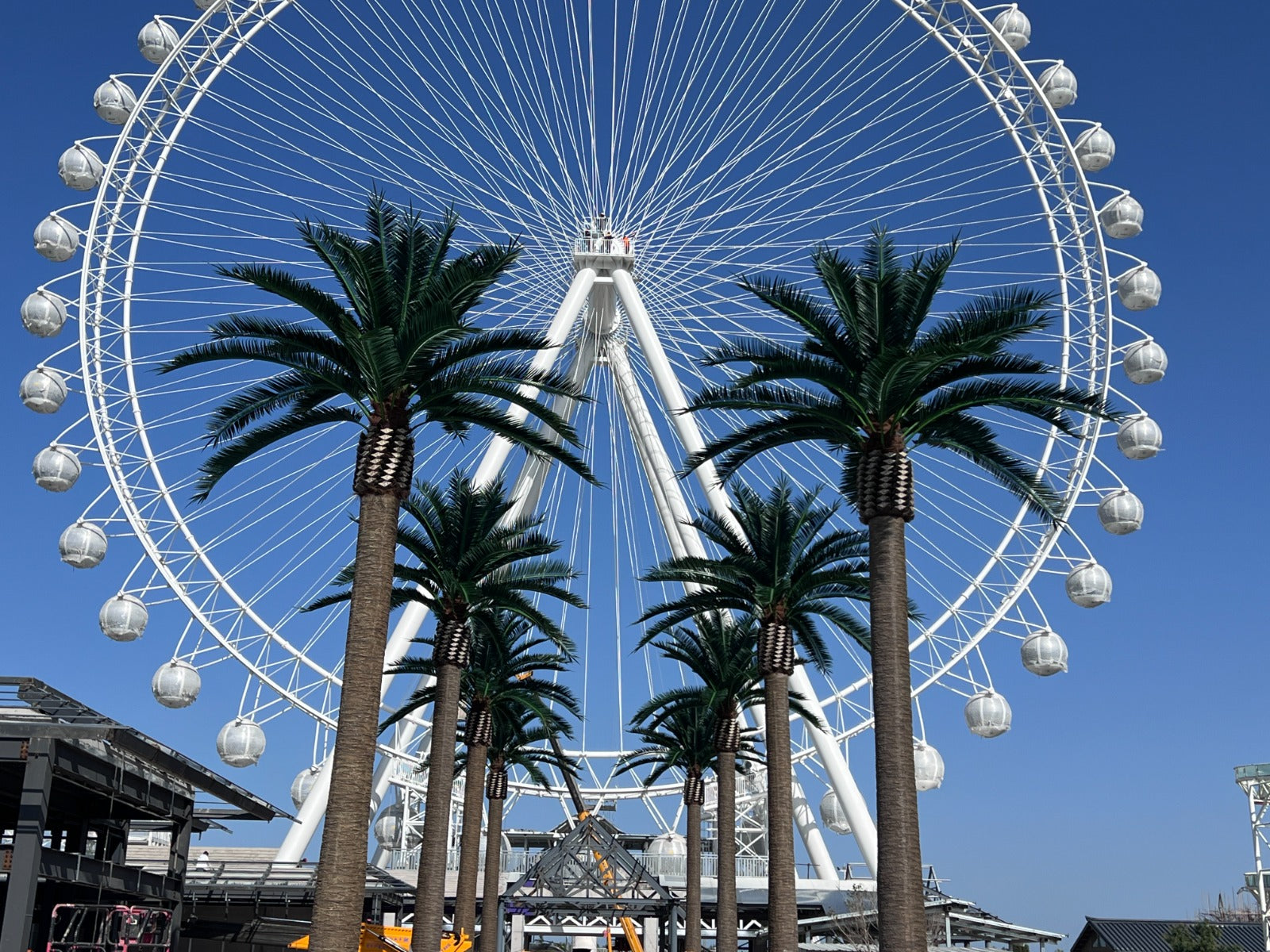 Ferris wheel with palm trees in the foreground against a blue sky