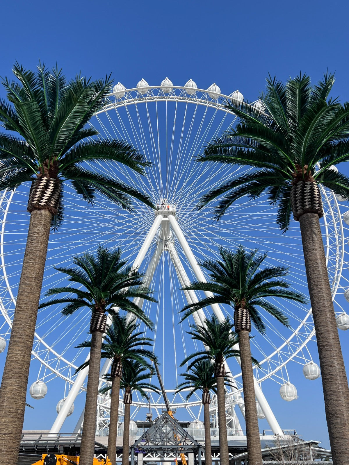 Ferris wheel with palm trees against a blue sky