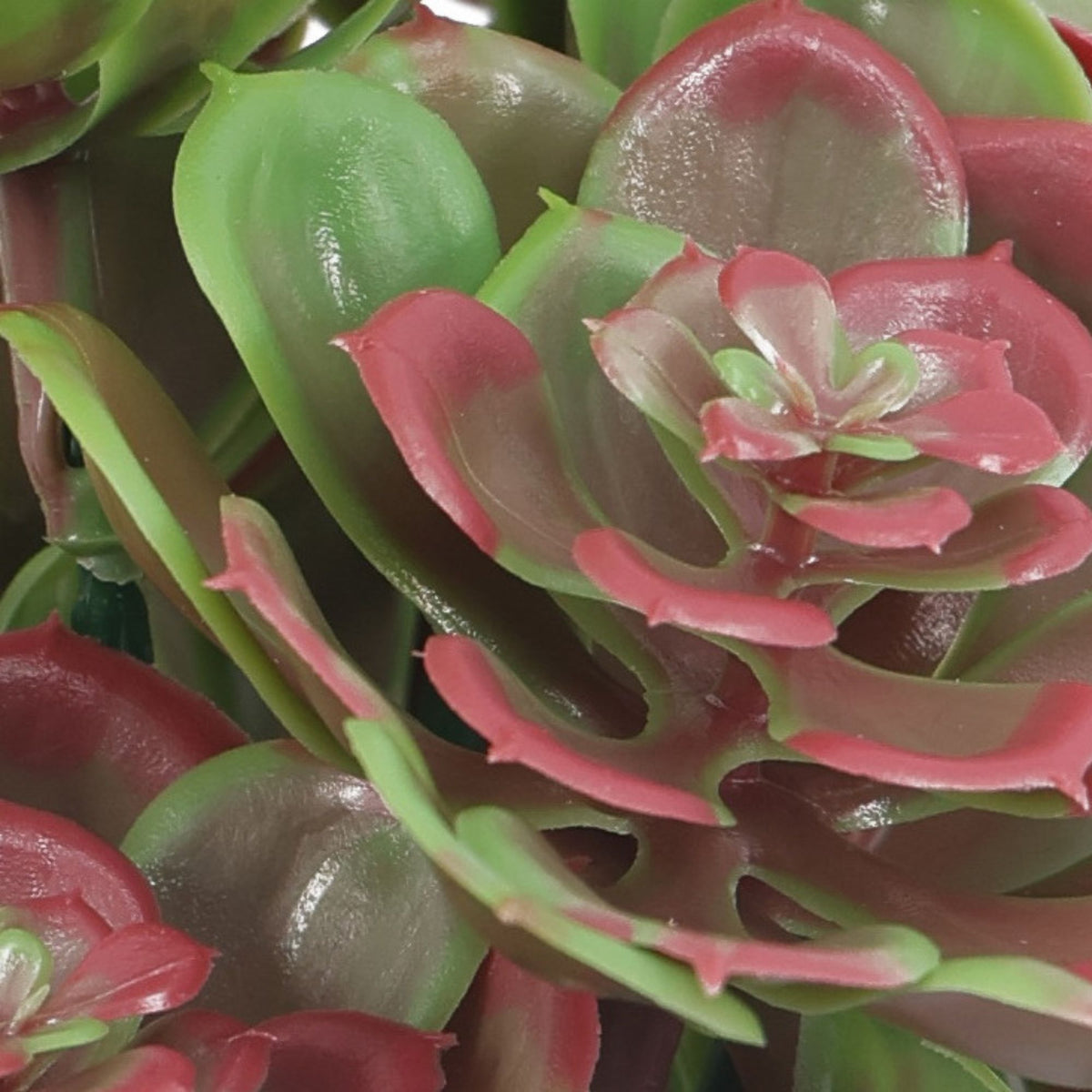 Red and Green Aeoniums Succulent Artificial Topiary Set of 5 11.8in – UV Resistant, Non Fire Resistant Artificial Hanging…