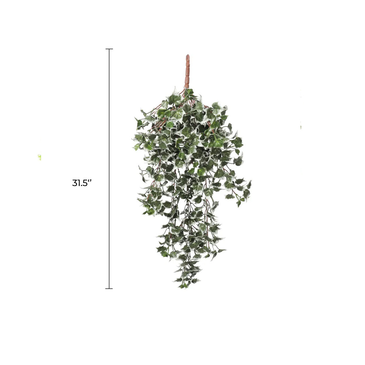 Artificial UV-Resistant Hanging Ivy With White Tipped Leaves – 31.5" (Set of 10)