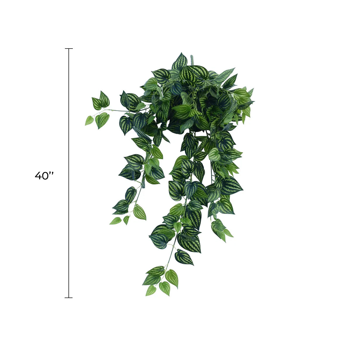 Artificial Watermelon Peperomia Hanging Vine - 40" Faux Bush (Set of 10)