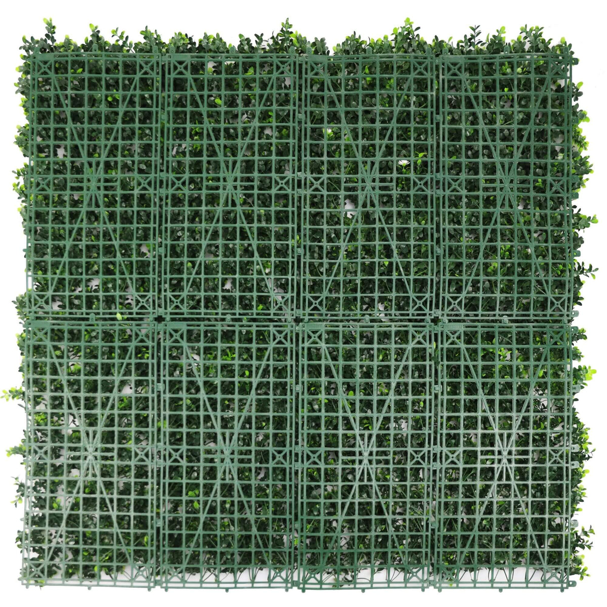 Sample Panel – White Flowering Boxwood Green Wall (Small Sample) (Designer Plants USA) — view 12 of 15