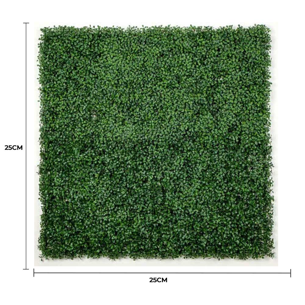 Sample Panel – Dark Boxwood Green Wall (Small Sample) — Sample from Designer Plants USA — view 7 of 21