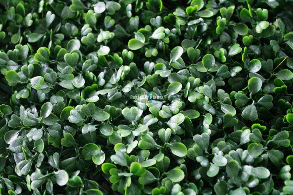 Sample Panel – Dark Boxwood Green Wall (Small Sample) — Non Fire Resistant, UV Resistant