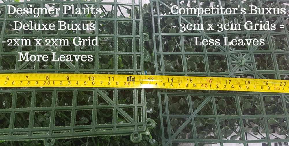 Sample Panel – Bright Boxwood Green Wall (Small Sample) — Sample from Designer Plants USA — view 9 of 11