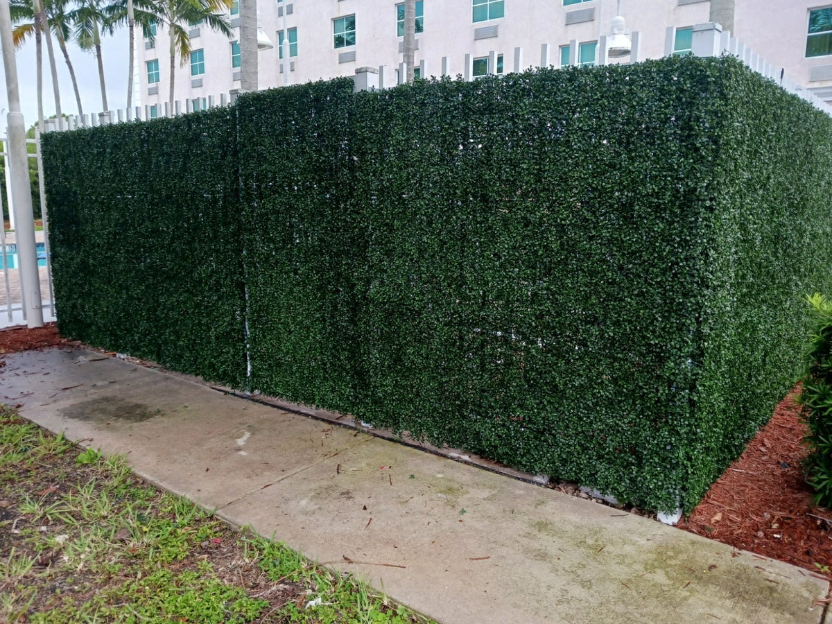 Dark Boxwood Artificial Vertical Garden Green Wall Panel 40×40in 11 SQ FT – UV Resistant – Commercial Grade, Budget Living…