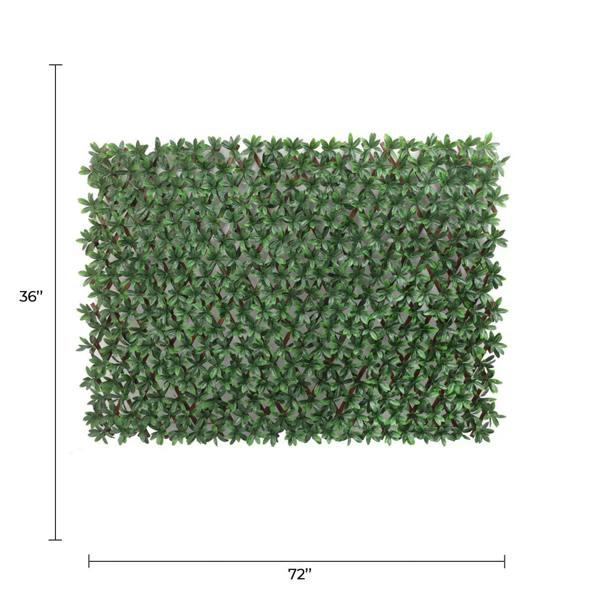 English Laurel Expandable Artificial Trellis Privacy Screen – UV Resistant — Artificial Trellis from Designer Plants USA