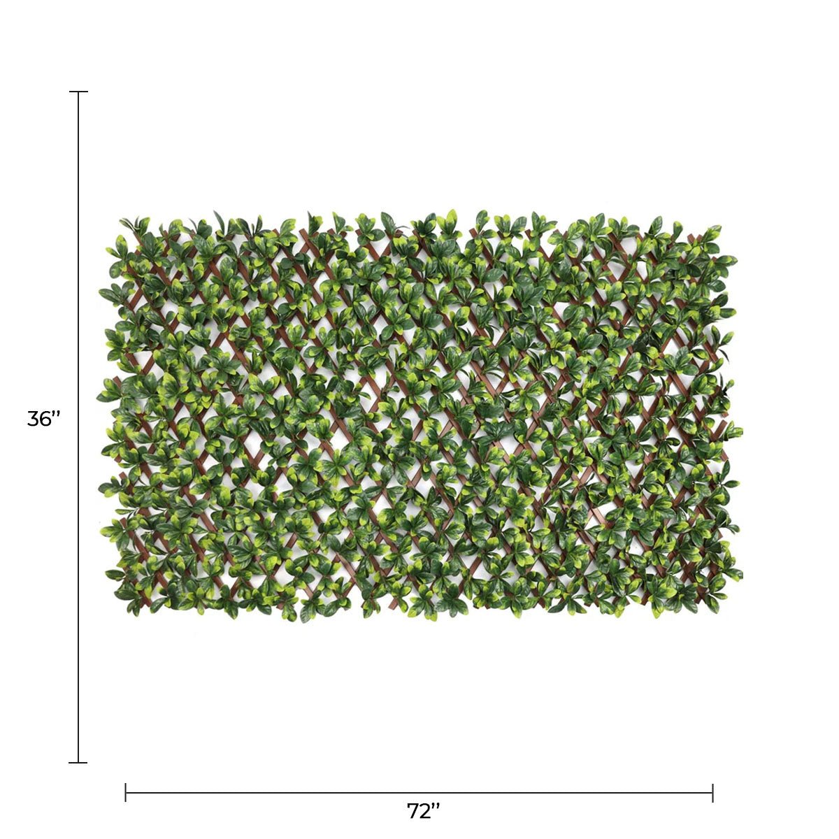 Expandable Faux Ficus Leaf trellis privacy fence panel with dense green foliage, 72 by 36 inches, UV resistant and adjustable size.