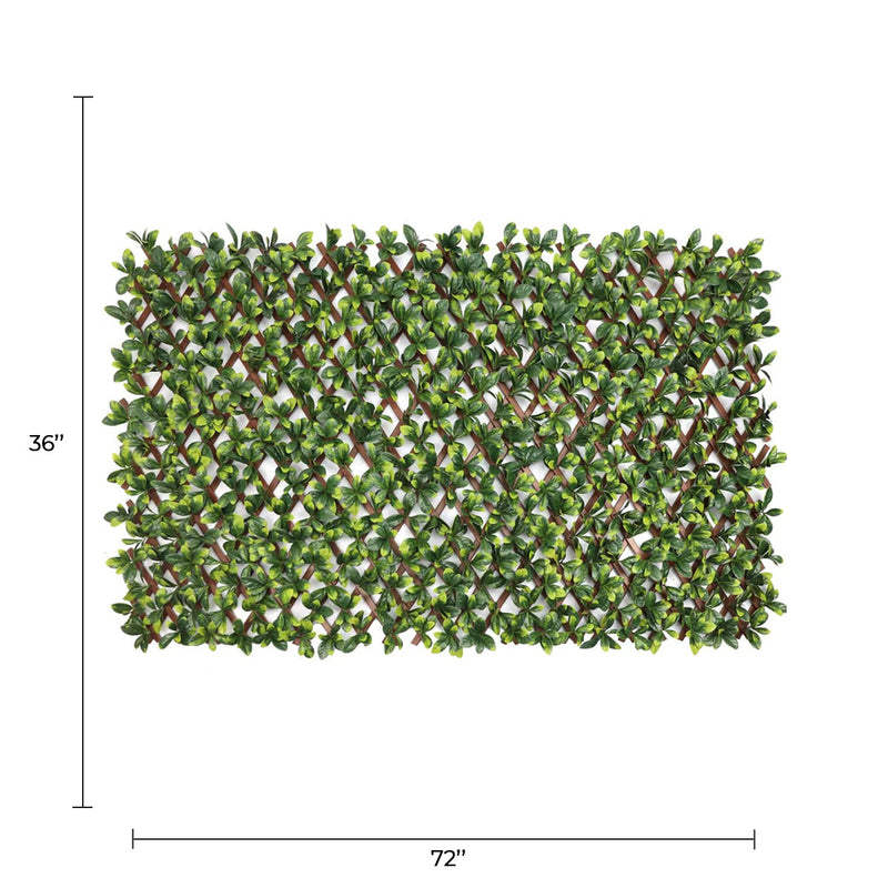 Expandable Faux Green Ligustrum Ficus Trellis Privacy Fence (Variable Size) UV Resistant 72" x 36"