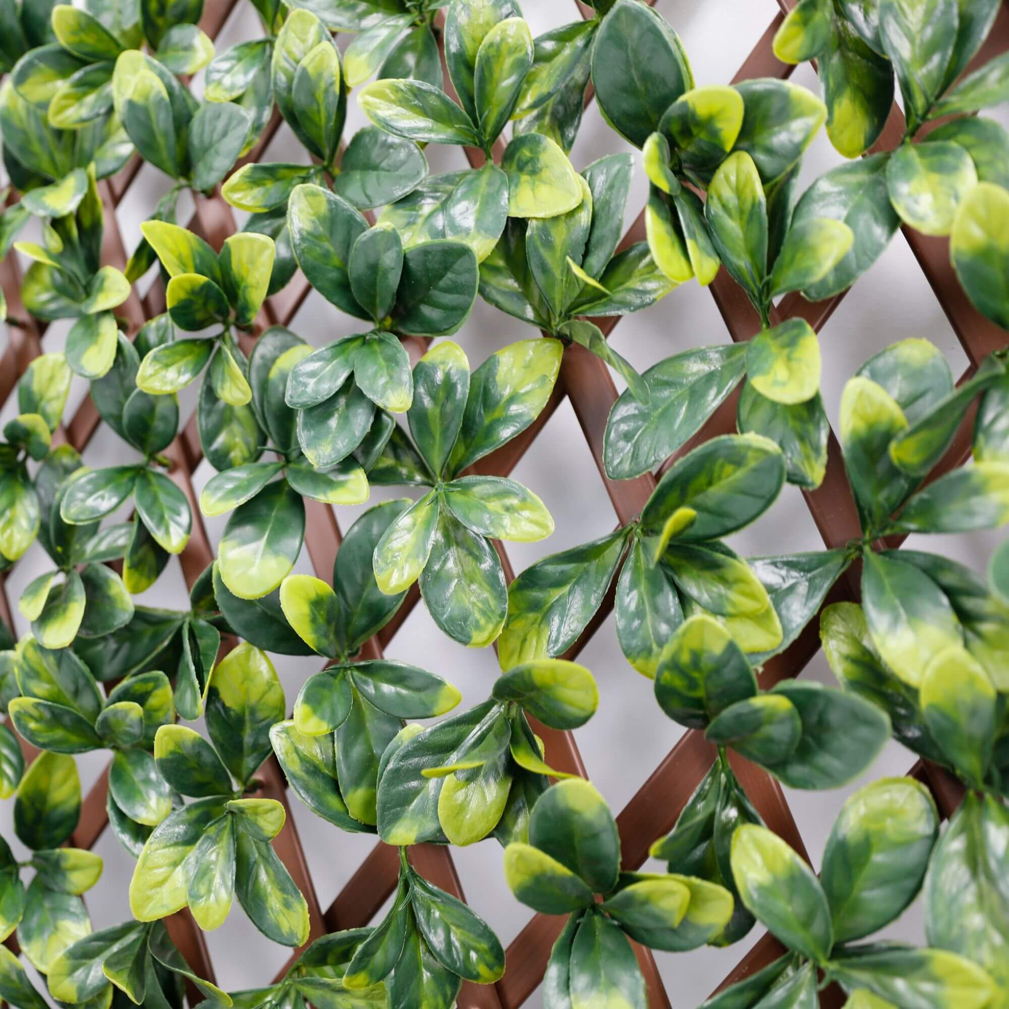 Expandable Faux Ficus Leaf privacy fence with lush green leaves on a brown lattice frame, UV resistant and adjustable size.