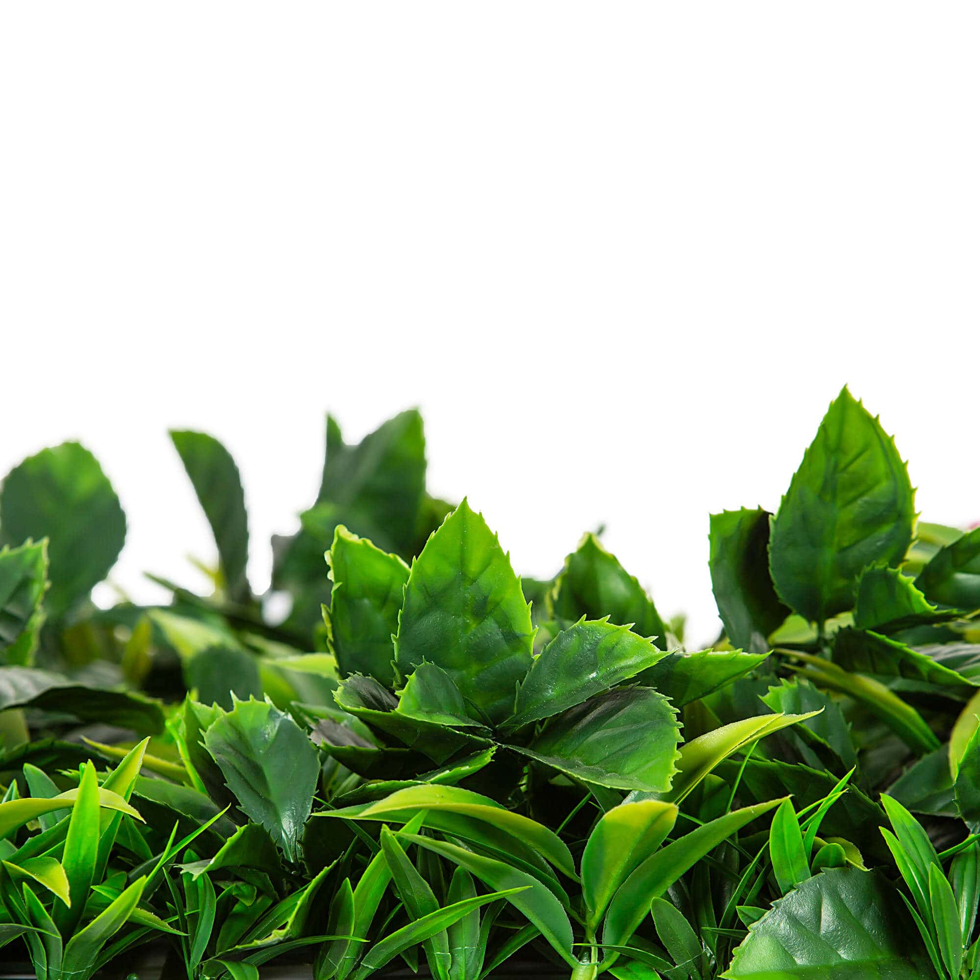 Sample Panel – Green Tropics Vertical Garden (Small Sample)