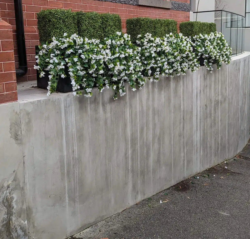 A concrete wall adorned with (5 Pieces) Hanging White Artificial Bougainvillea Plant UV Resistant 35" in flower pots.