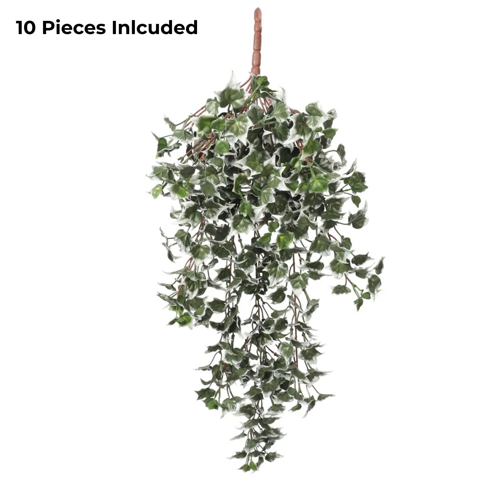 Artificial UV-Resistant Hanging Ivy With White Tipped Leaves – 31.5" (Set of 10)