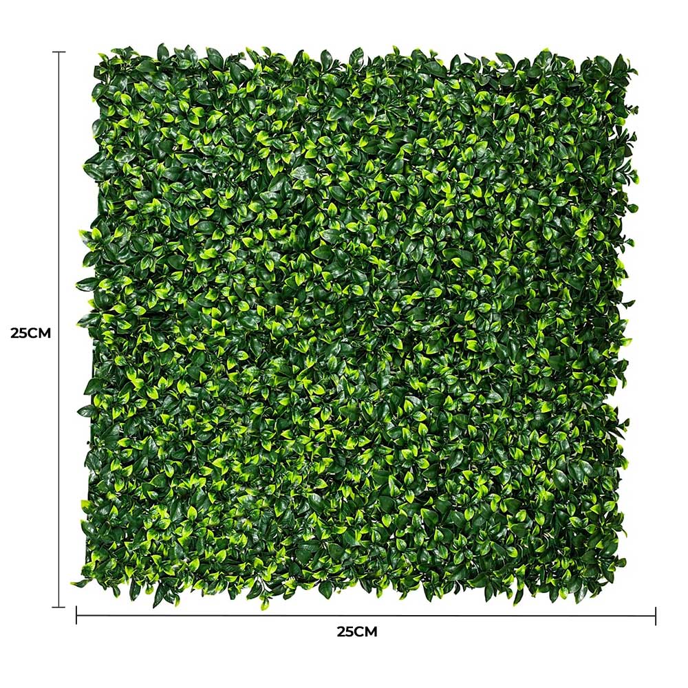 Sample Panel – Jasmine Green Wall (Small Sample) by Designer Plants USA — view 7 of 18