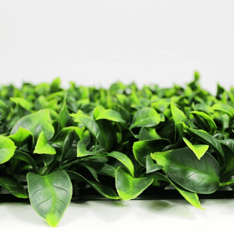 Sample Panel – Jasmine Green Wall (Small Sample) (Designer Plants USA) — view 12 of 18
