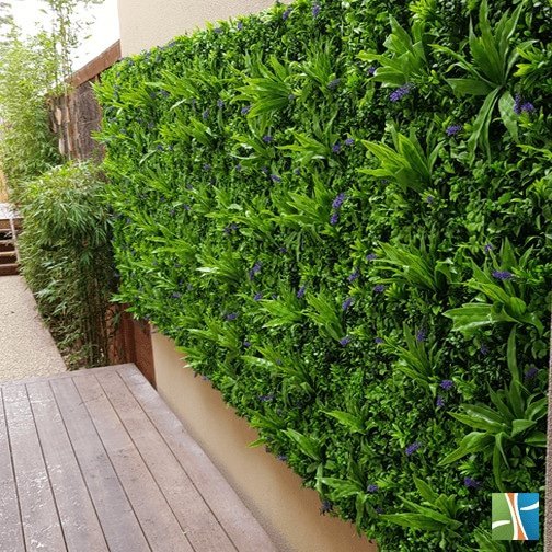 Sample Panel – Lavender Fields Green Wall (Small Sample) by Designer Plants USA — view 14 of 17
