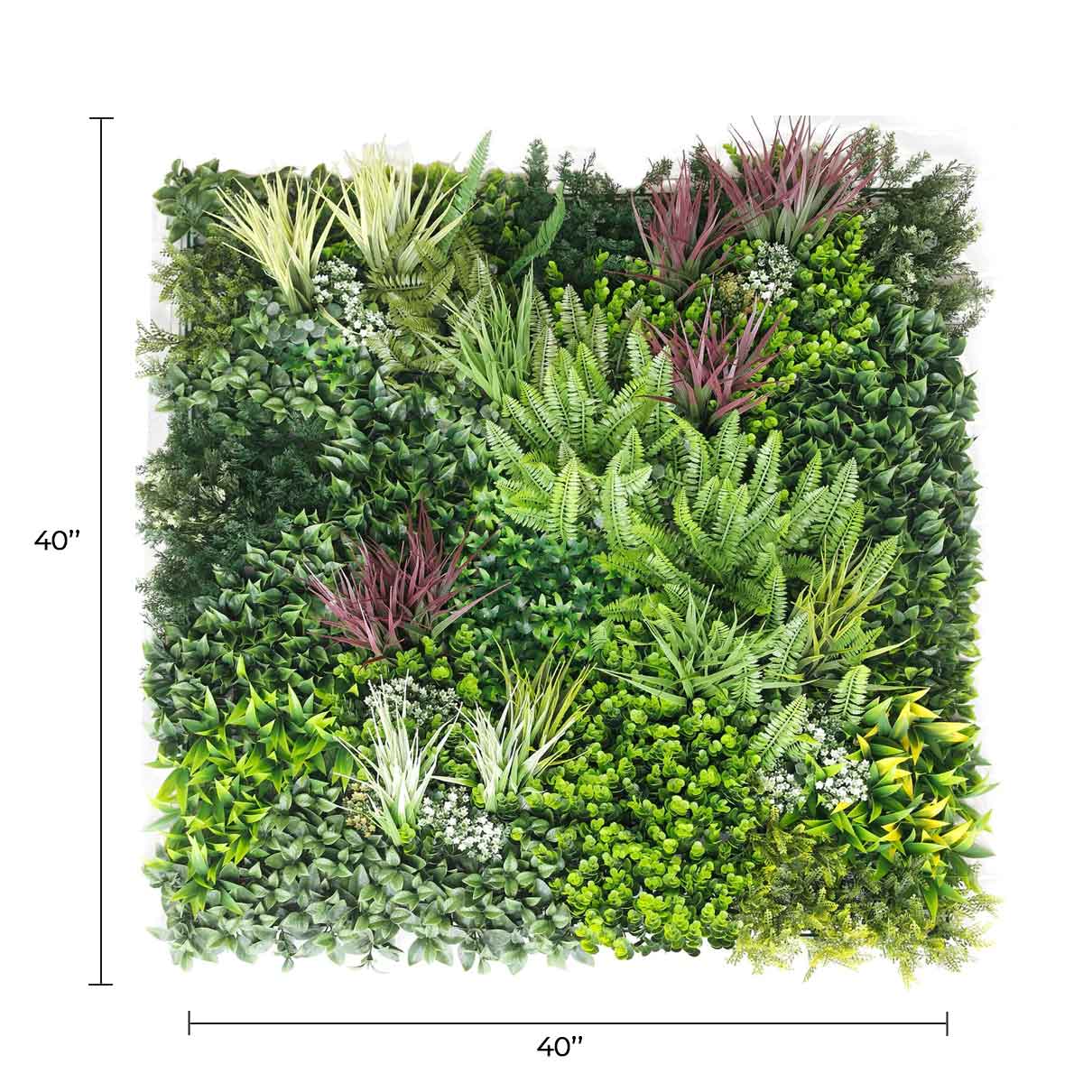 Sample Panel – Urban Greenery Vertical Garden (Small Sample) — Sample from Designer Plants USA