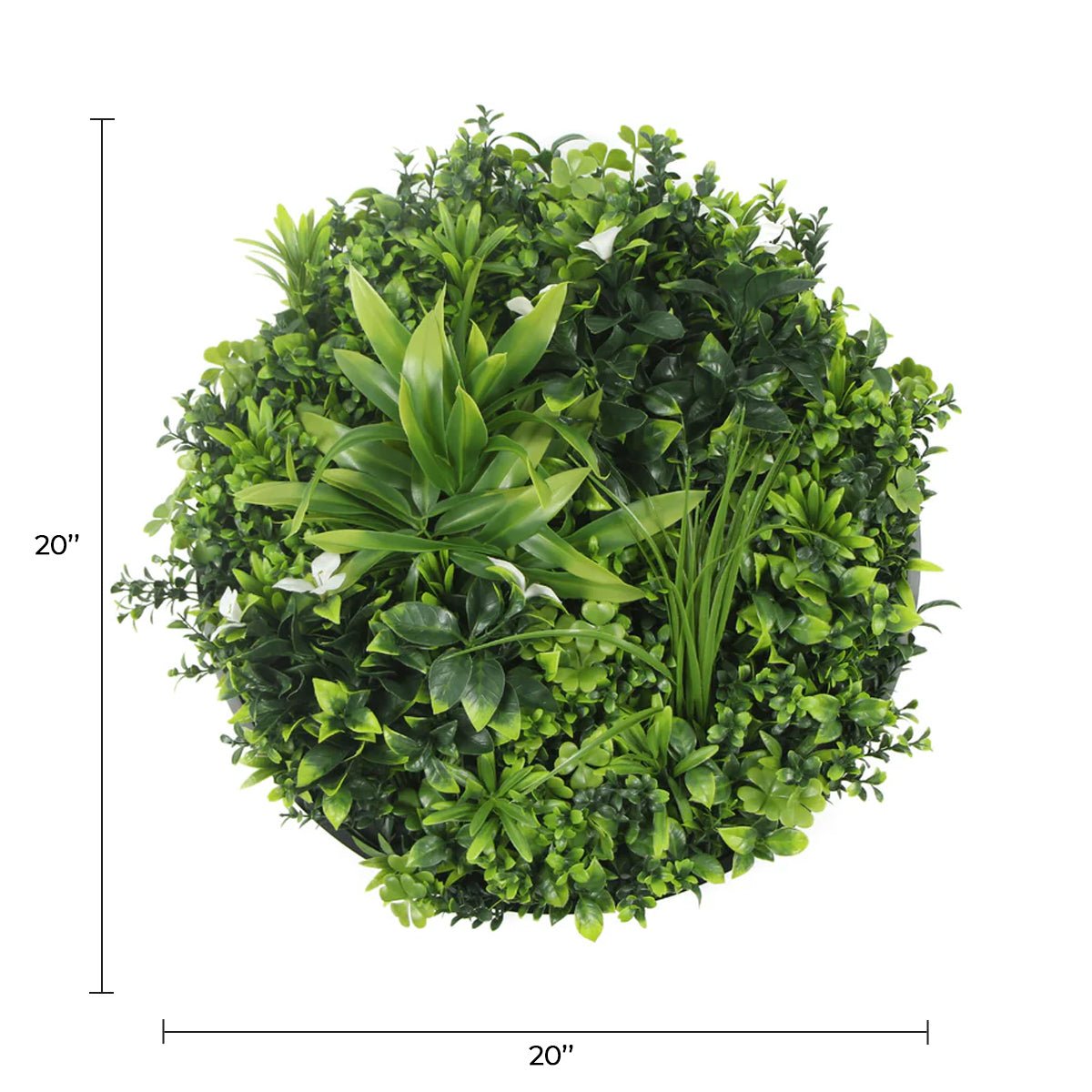 Artificial Green Wall Disc 20in – Black Frame – UV Resistant – Commercial Grade — Living Walls from Designer Plants USA