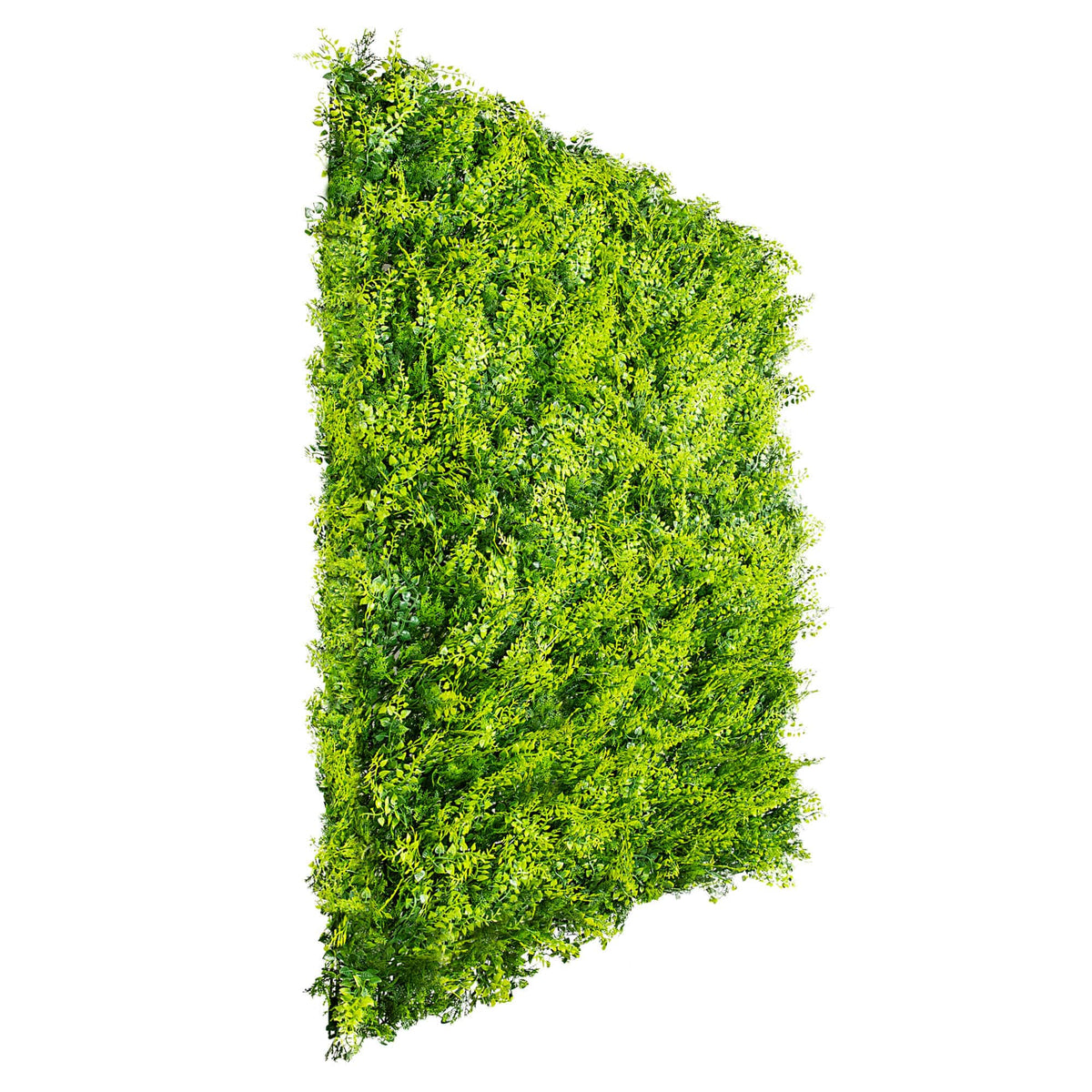 Sample Panel – Lush Fern Green Wall (Small Sample) (Designer Plants USA) — view 12 of 23