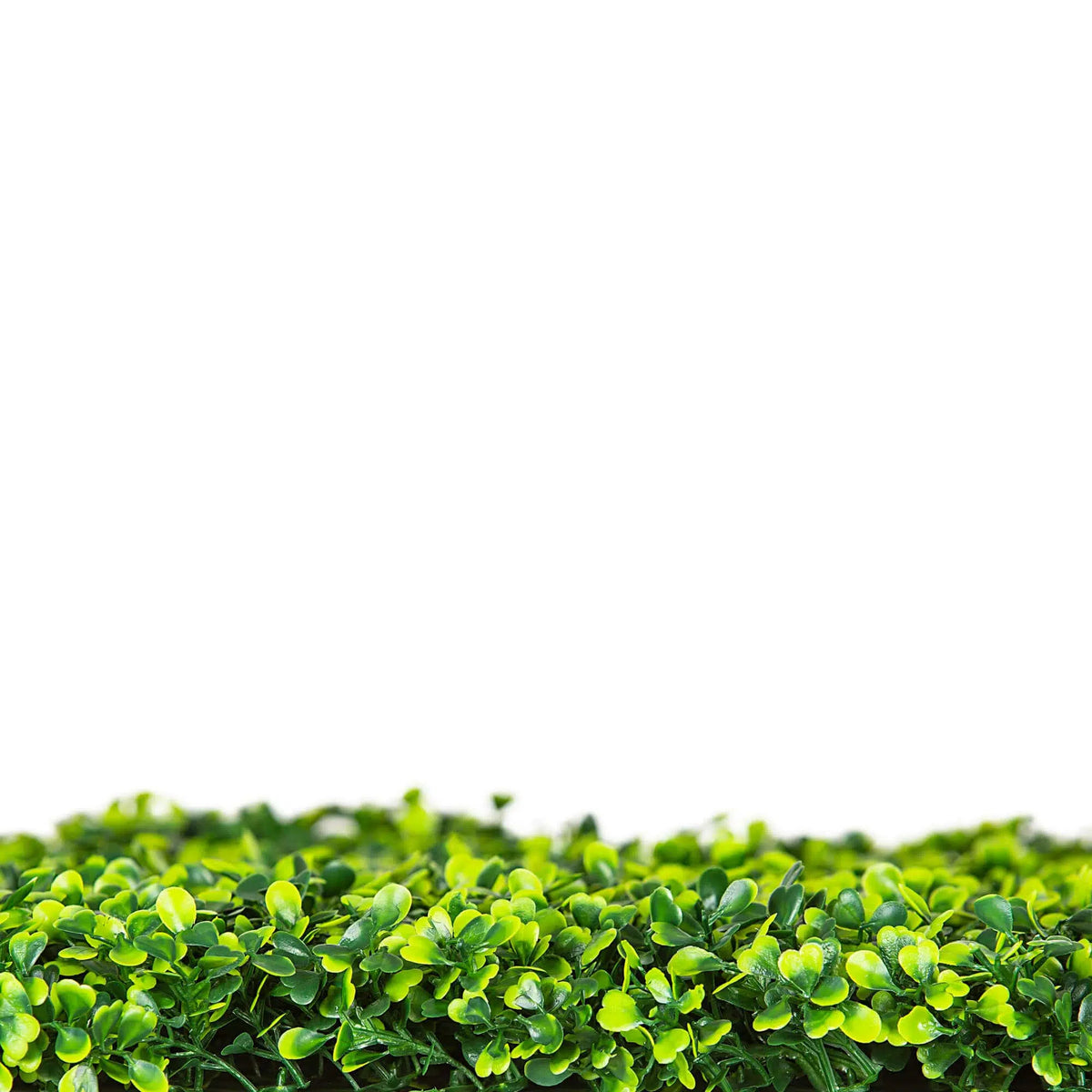 Mixed Boxwood Artificial Vertical Garden Green Wall Panel 40×40in 11 SQ FT – UV Resistant – Commercial Grade (Designer…
