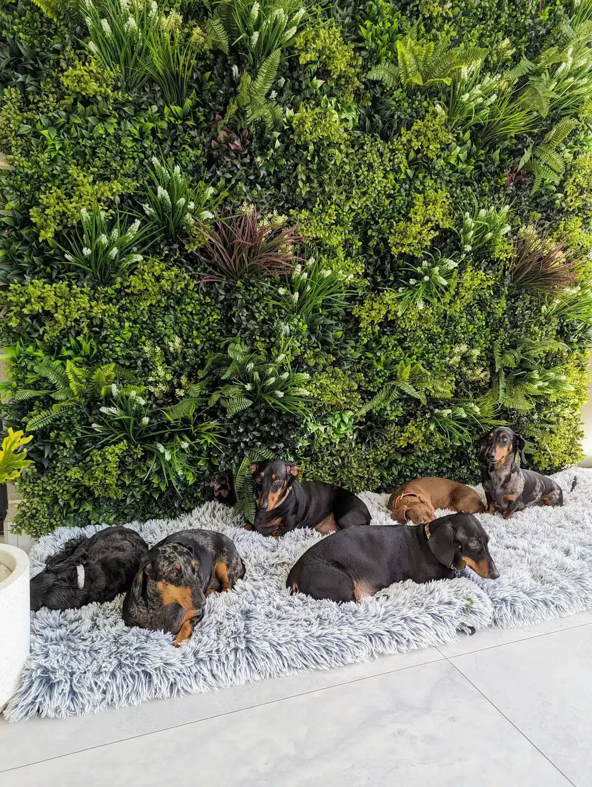 Living Walls: Lush Spring Artificial Vertical Garden Green Wall Panel 40×40in 11 SQ FT – UV Resistant – Commercial Grade by…