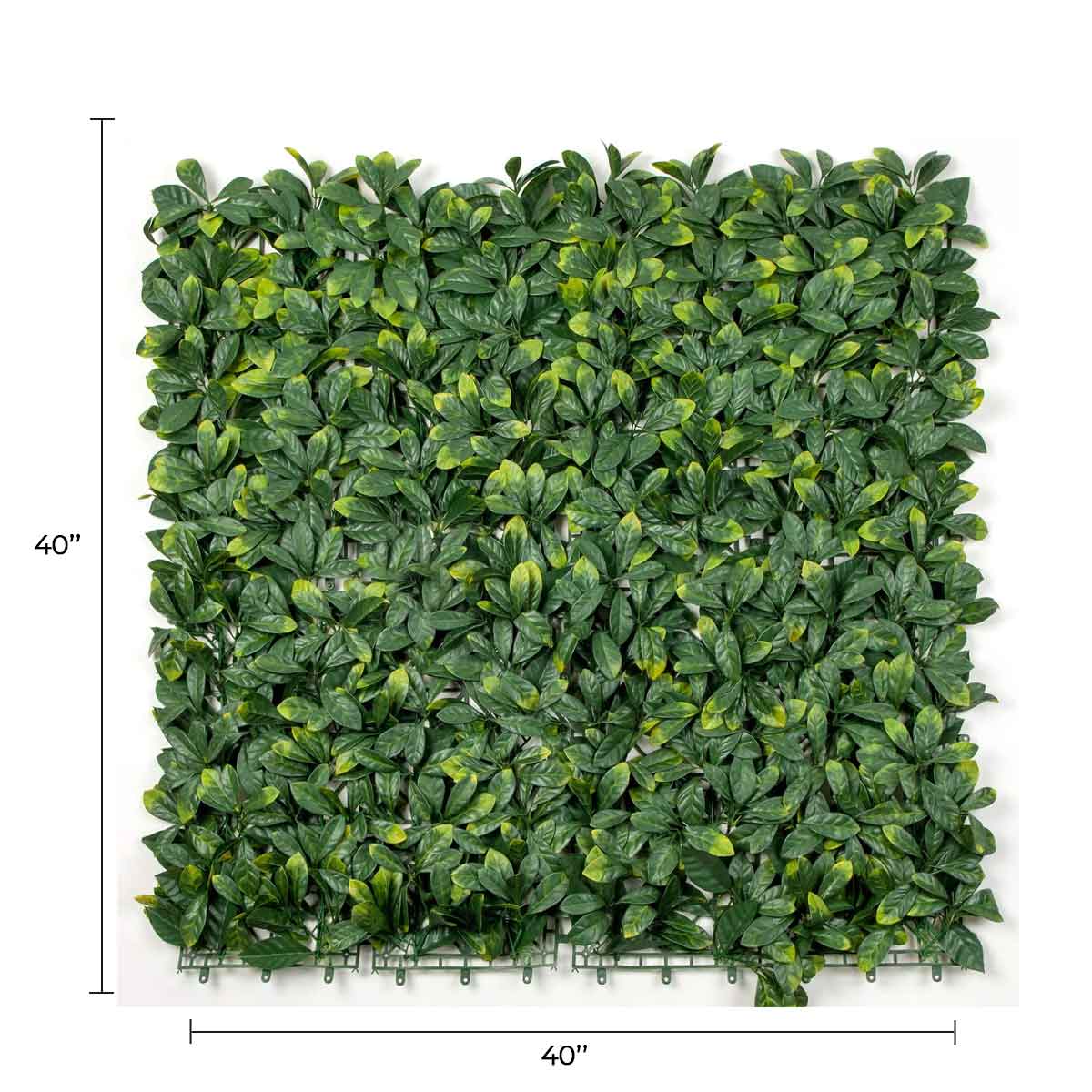 Laurel Artificial Vertical Garden Green Wall Panel 40×40in 11 SQ FT – UV Resistant – Commercial Grade — Living Walls from…